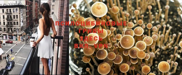 дживик Абинск