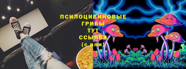 дживик Абинск