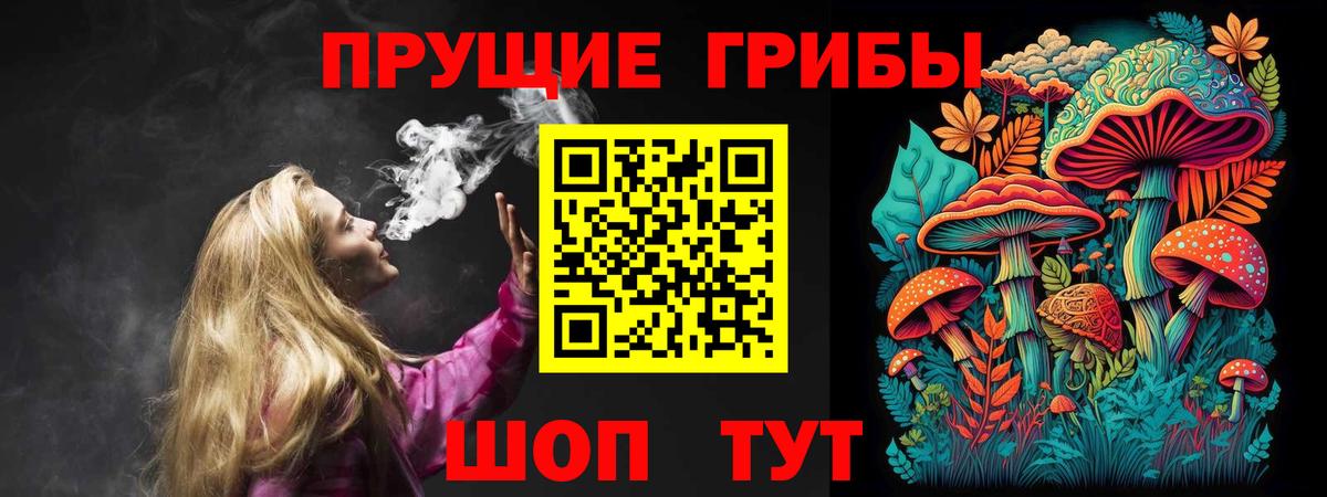 Галлюциногенные грибы Psilocybine cubensis Магнитогорск