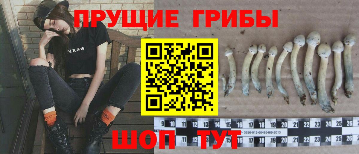 Псилоцибиновые грибы MAGIC MUSHROOMS  Вход с VPN  Магнитогорск 