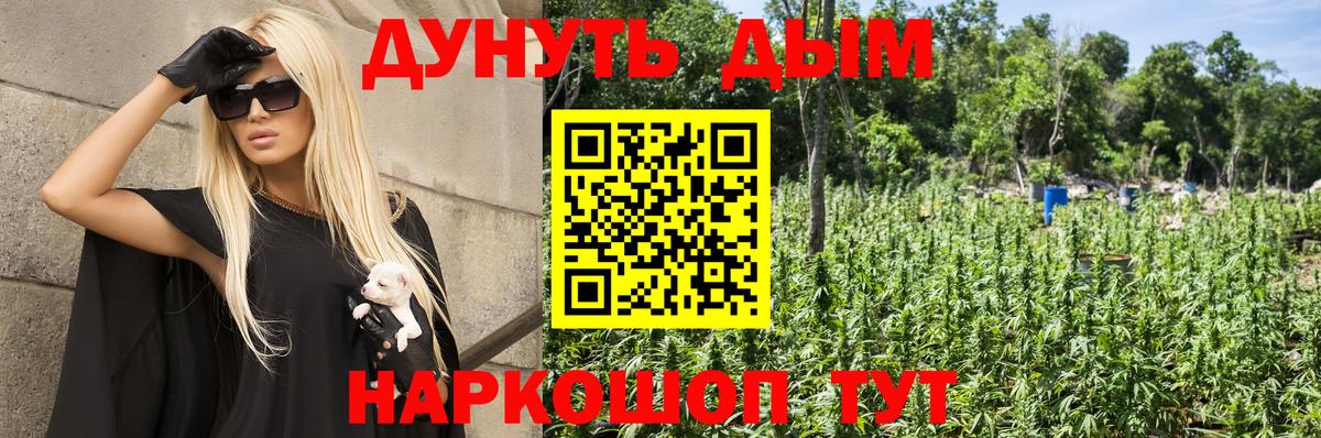 Каннабис Amnesia  МАРИХУАНА индика  Бошки марихуана SATIVA & INDICA  Вход с VPN  Магнитогорск  Марихуана планчик 